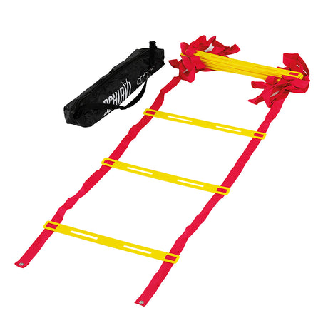 Schiavi Scala Veloce - art. 1206