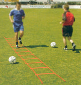 Schiavi Scala Veloce - art. 1206