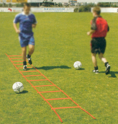 Schiavi Scala Veloce - art. 1206