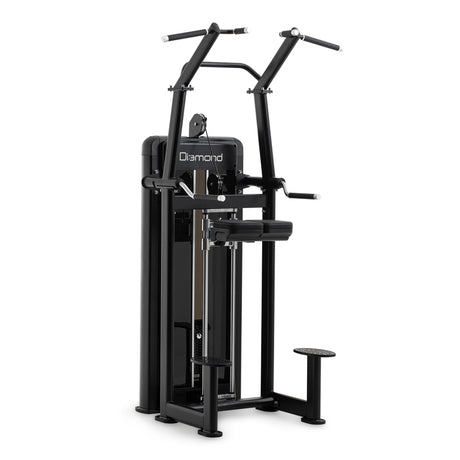 Diamond Chip Up/Dip Professionale Serie 550