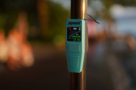 Jaykay Telecomando E-Pinna 2.0