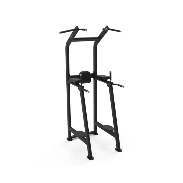Diamond Chin Up / Dip Bench Professionale Serie 550