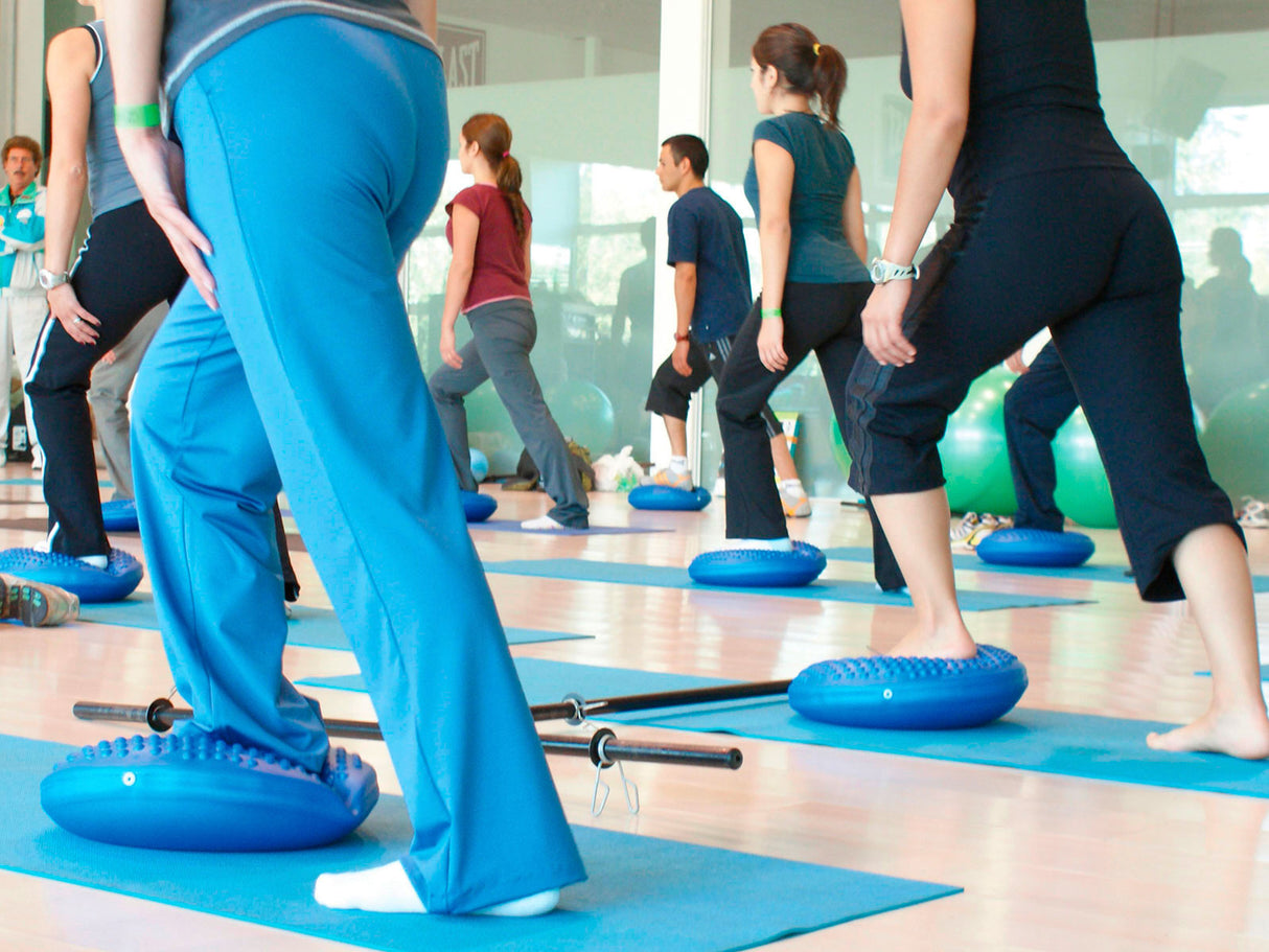 Gymnic Disc'O'Sit