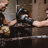 Lion Gloves Pao