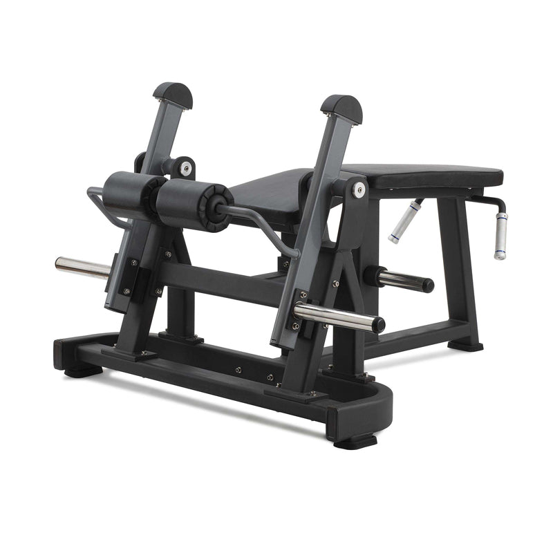Diamond Leg Curl serie 300 - PL-LEGCURL