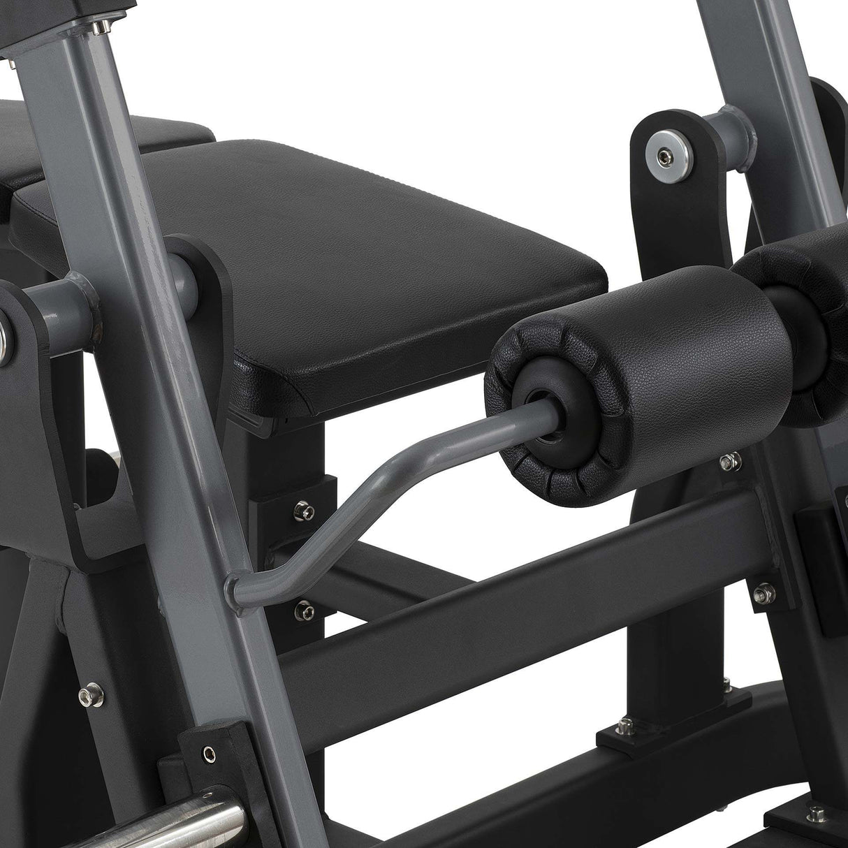 Diamond Leg Curl serie 300 - PL-LEGCURL