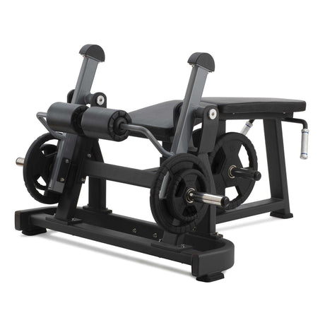 Diamond Hack Squat with hand lock system series 300 - PL-HACKSQUAT-N