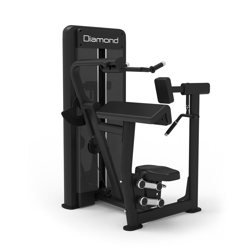 Diamond Triceps Dip Professionale Serie 550
