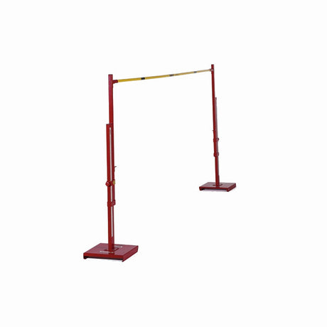 Schiavi Ritti salto in alto IAAF.jpg
