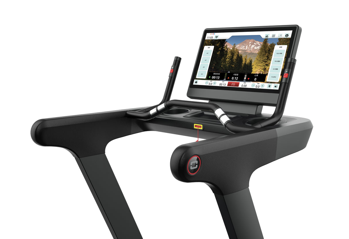 Toorx Professional Tapis Roulant TRX-9500 CROSS TFT App Ready 3.0
