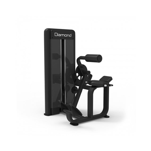 WS550-BACK EXTENSION DIAMOND Back Extension 