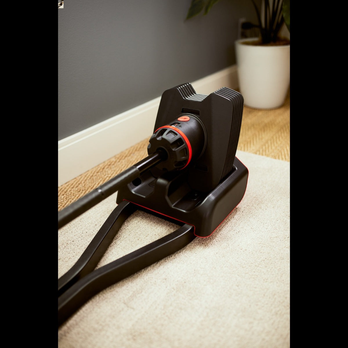 Bowflex Set Bilanciere SelectTech 2080 36 kg - BOW-2080