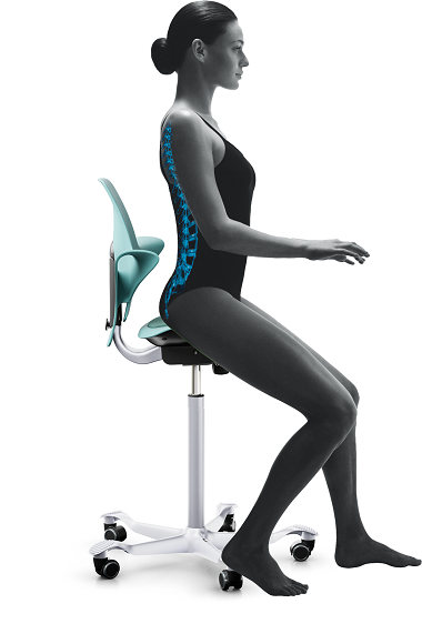 HÅG Capisco Puls 8010