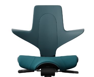 Hag Capisco Puls 8010 Petrol + Padded Cushion