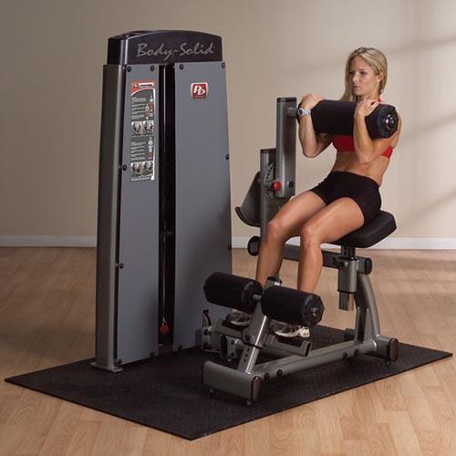 Body-Solid Pro Dual Ab and Back Machine DABB-SF