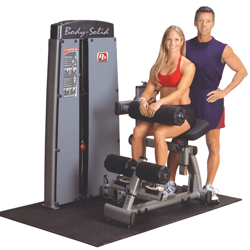 Body-Solid Pro Dual Ab and Back Machine DABB-SF