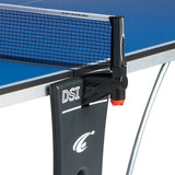 dsi250.jpg