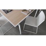 Fas Ping Pong Spider