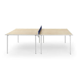 Fas Ping Pong Spider
