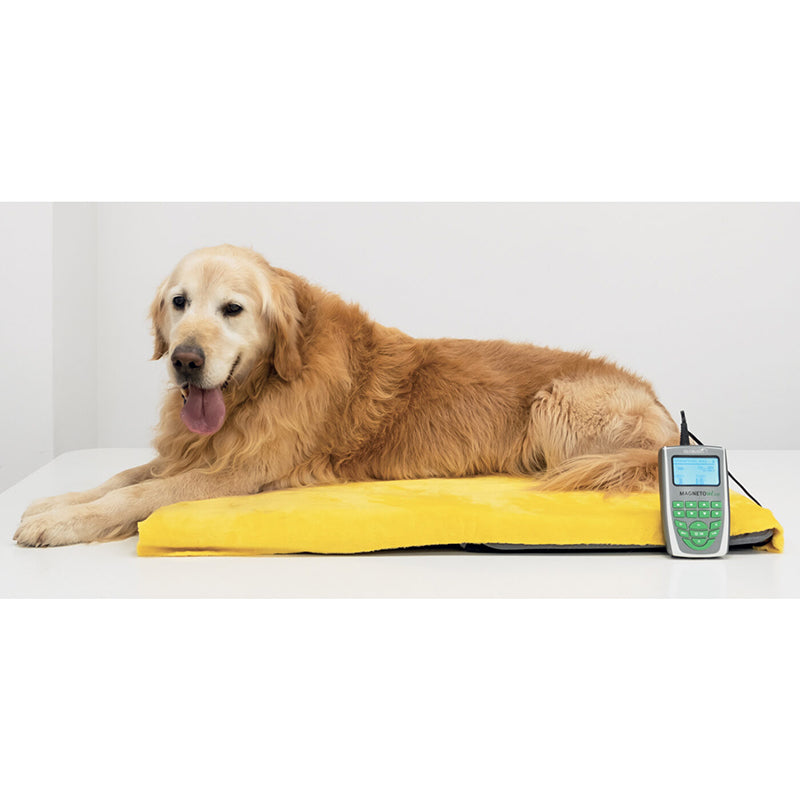 Globus Magnetovet 200 with kennel
