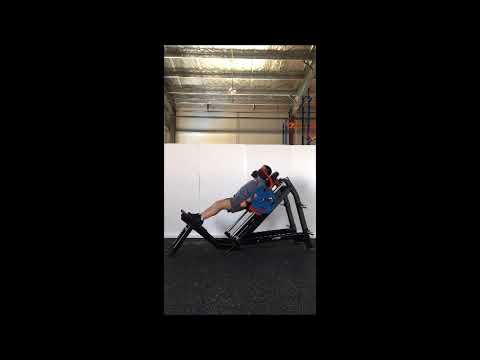 Steelflex Plateload Hack Squat PLHP