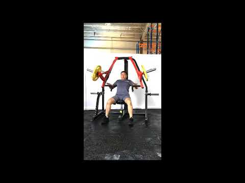 Steelflex Dual Plateload Seated Decline Press PSDP