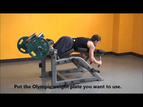 Steelflex Plateload Leg Curl PLLC