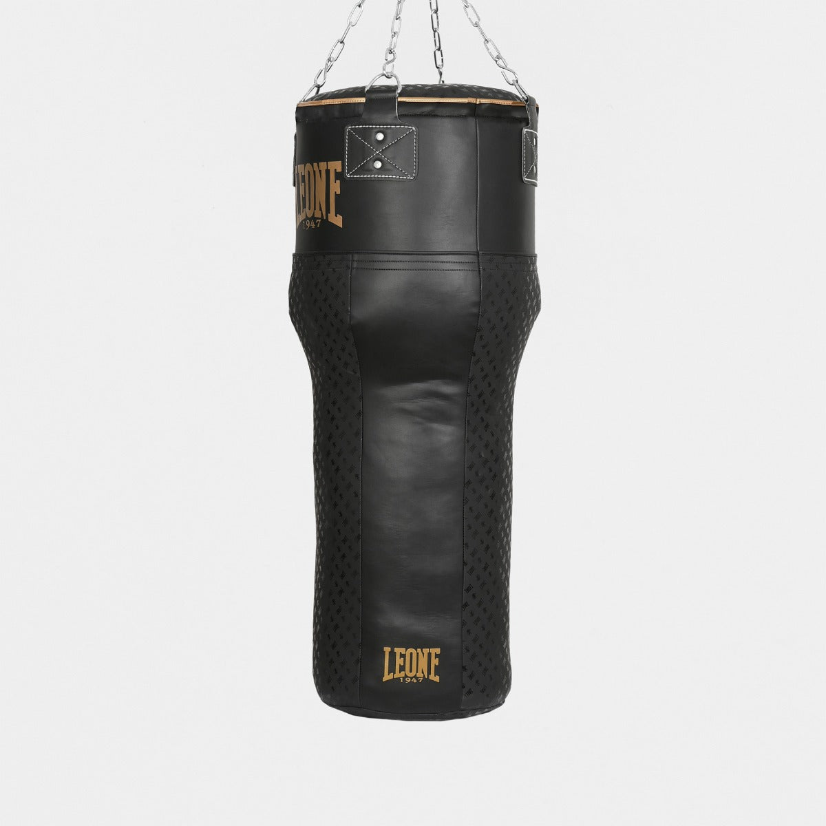Leone Sacco Allenamento T - DNA AT855 - Kg 30