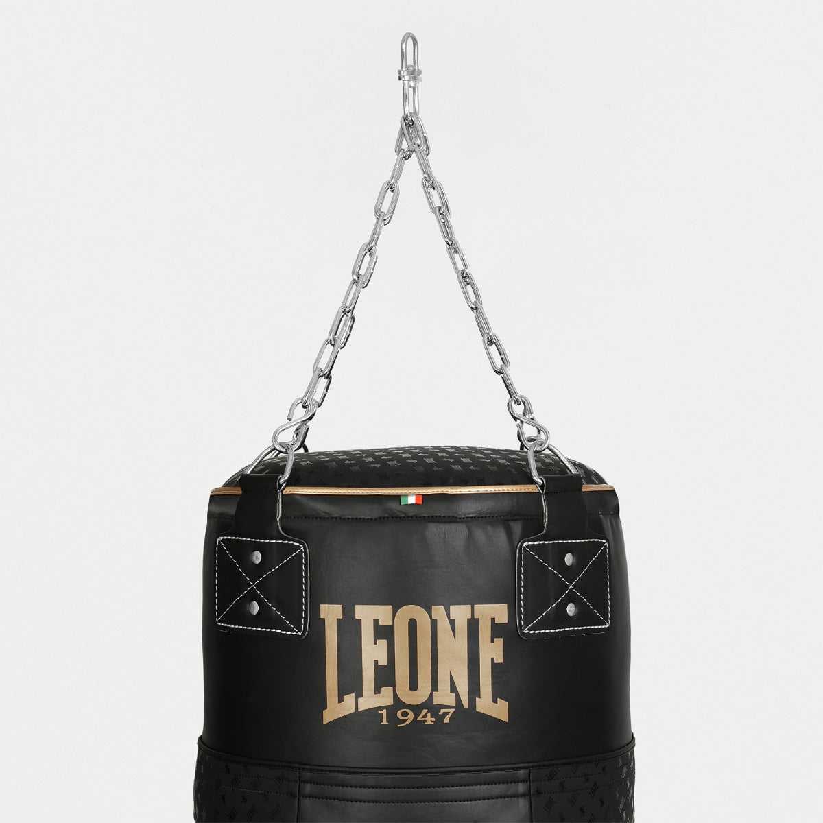 Leone Sacco Allenamento T - DNA AT855 - Kg 30