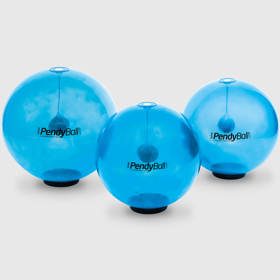 {"sku":"0000008537-BLU","price":"159.5","inventoryItem":{"cost":"73.930000"},"inventoryQuantities":{"availableQuantity":999,"locationId":"gid://shopify/Location/85992997165"},"weight":4,"mediaSrc":["https://static.fitmax.it/media/catalog/product/p/e/pendyball.jpg"],"title":"Blu","options":["Blu"]}
