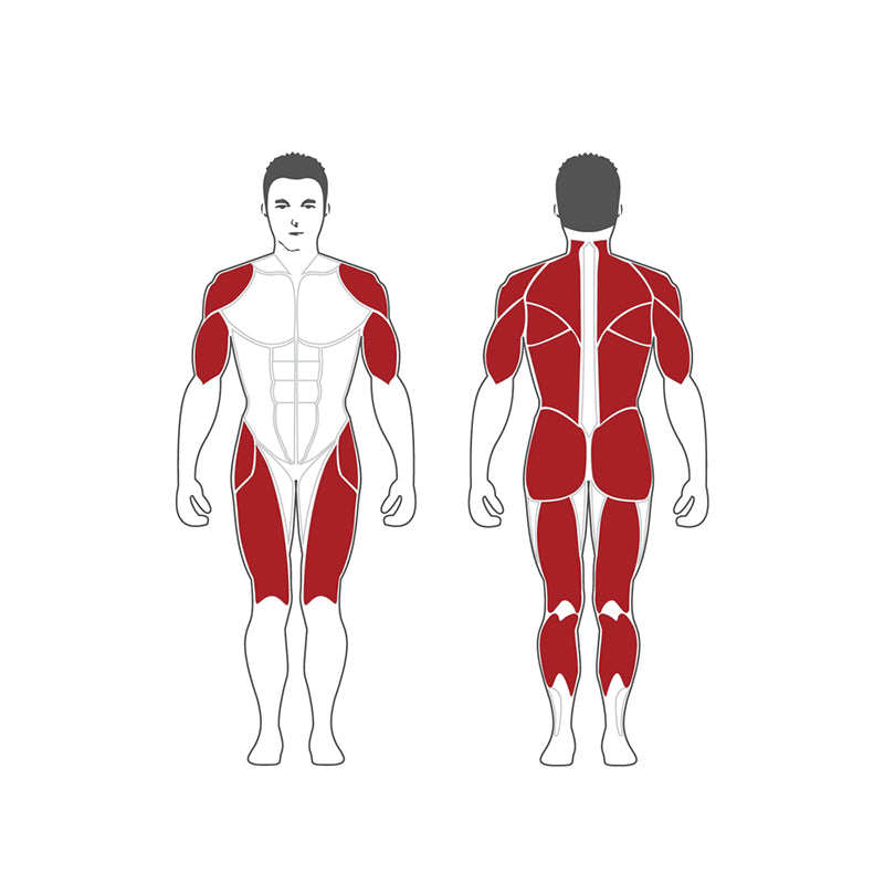 Steelflex Dual Plateload Lat Squat / Deadlift PL2300-BR