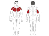 Steelflex Plateload Bench Press PLBP