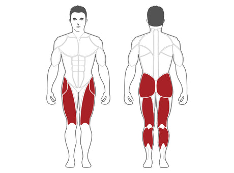 Steelflex Plateload Hack Squat PLHP