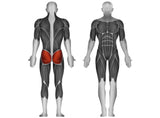Steelflex Plate I-Loaded Hip Truster PLHT-BR