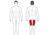 Steelflex Plateload Leg Curl PLLC
