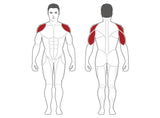 Steelflex Plateload Shoulder Press PLSP