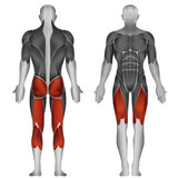 Steelflex Dual Plateload Squat Machine PLSS
