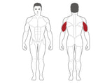 Steelflex Plateload Triceps Extension PLTE
