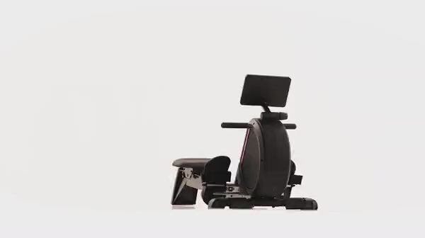 ProForm Vogatore 550R