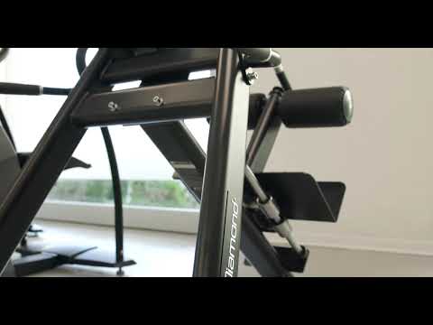 Diamond Hyperextension Bench Professionale Serie 550