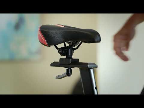 Schwinn Spin Bike 700IC
