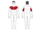 Steelflex Dual Plateload Seated Chest Press PSBP