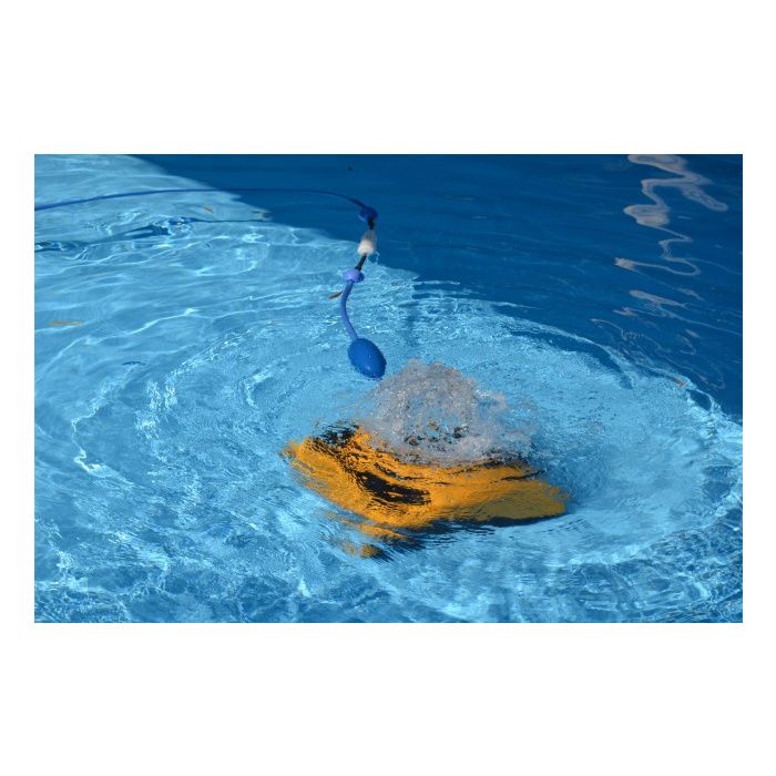 Dolphin Robot Pool F40 Complete Cleaning