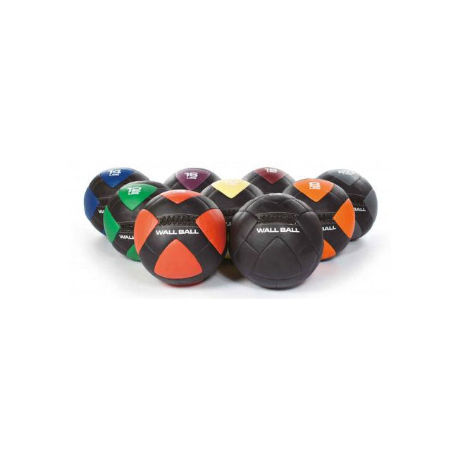 Schiavi Sport Wall Ball Professional Kg. 4