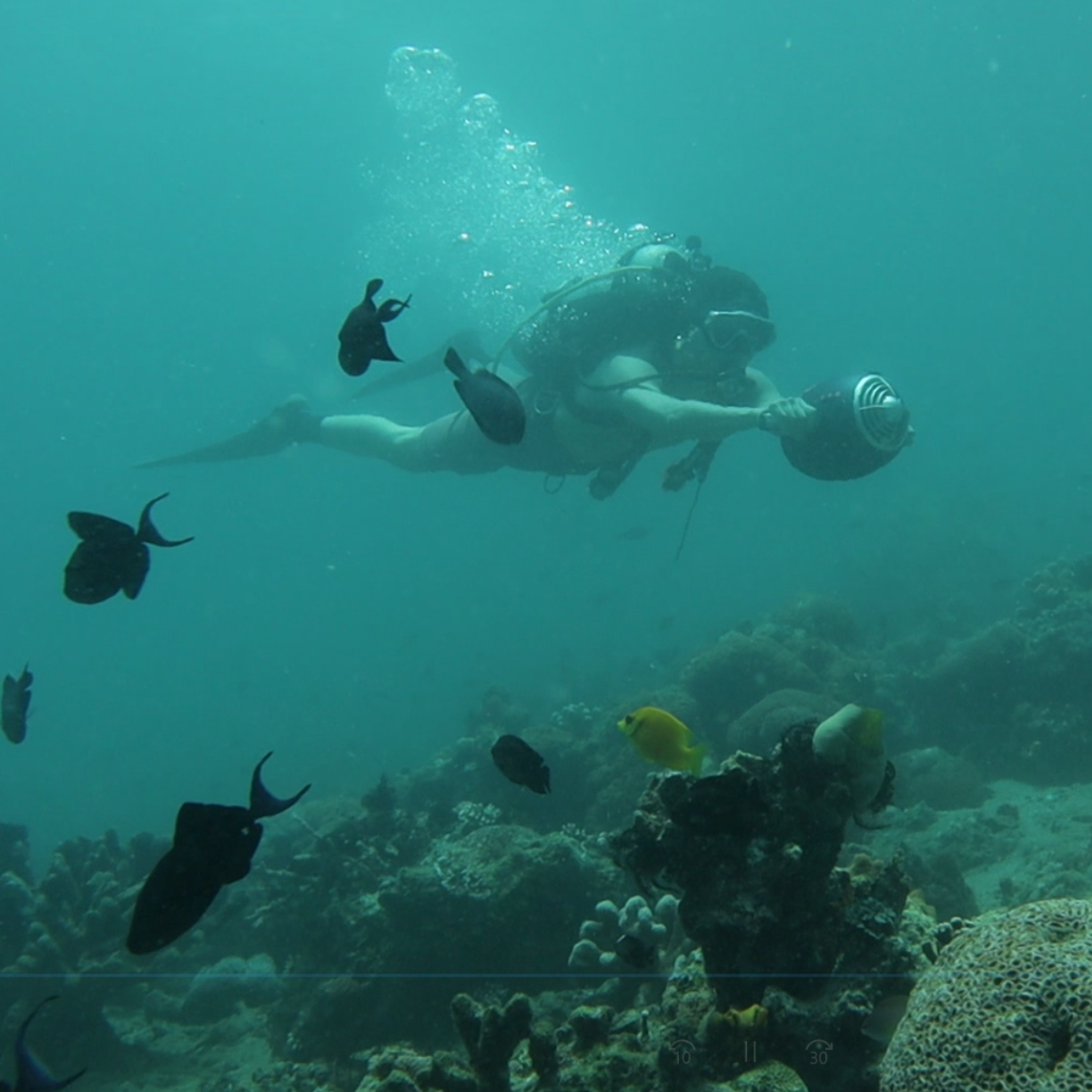 Robosea Seascooter Warp 10